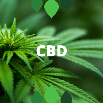 cbd-ecuador
